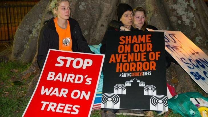 Protesters try to save Anzac Parade fig trees removed for the light rail.  Photo: Janie Barrett