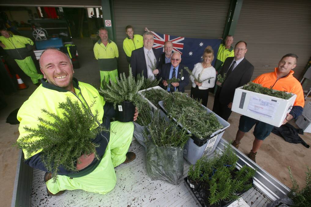 Home grown: Legacy members Bruce Hancock and Stan Mackie with Woronora Cemetery chief executive officer Graham Boyd (centre ) and Woronora cemetery staff loading rosemary cuttings grown in the cemetery grounds to use in the city on Anzac Day. Picture: John Veage