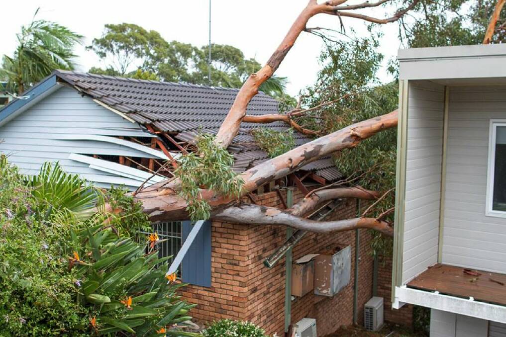 Trees down during storm.Picture Sutherland SES