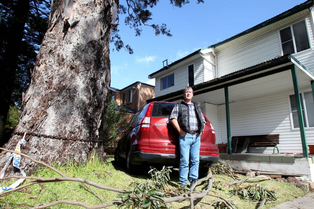 Wild Weather:The branch of a tree crashed onto the top of John Brophy's car overnight. Mr Brophy has been asking the council to remove the tree for the past five years. Chris Lane