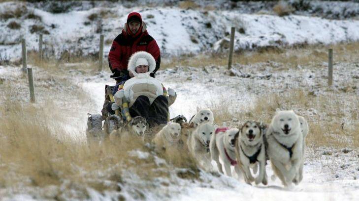 Huskies pulling a sleigh.  Photo: PA Images / Alamy Stock Photo