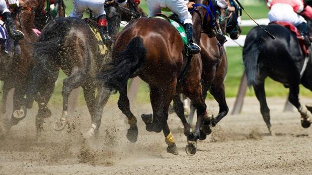 The trainer defrauded a client of $25,677 by claiming training and other expenses of a non-existent horse over five years. Photo: iStock