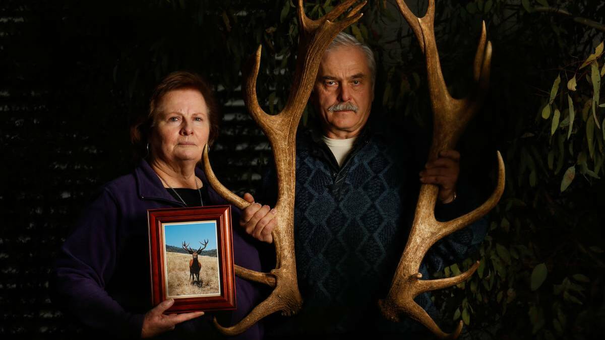 Manfred and Narelle Wagner have been left devastated after their pet deer Karl was beheaded, likely for his antlers. Picture: MARK JESSER