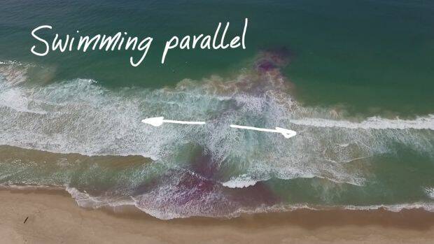 An image from the Jason Markland documentary on rip currents shows the approach of swimming parallel to a rip. Photo: Supplied