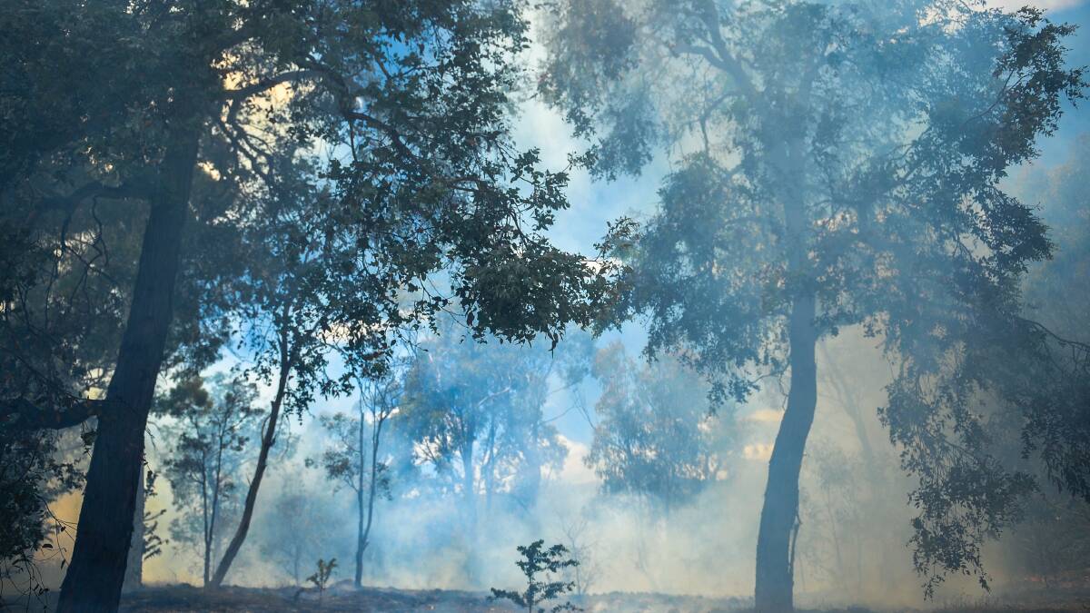Keeping it clean: From August 1 people in designated bushfire aeras will have more power to clear trees and vegetation from around their home. Picture: Katherine Griffiths
