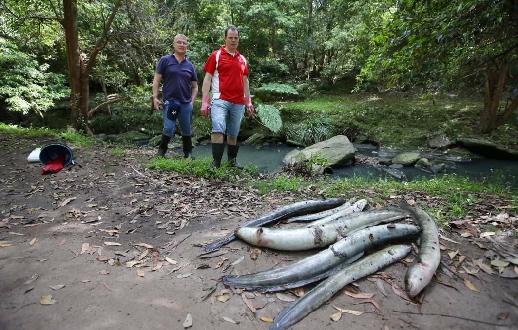 Mess: Michael Mohan and Peter Schneider are concerned about waste that ran into Bardwell Creek. Picture: John Veage.

