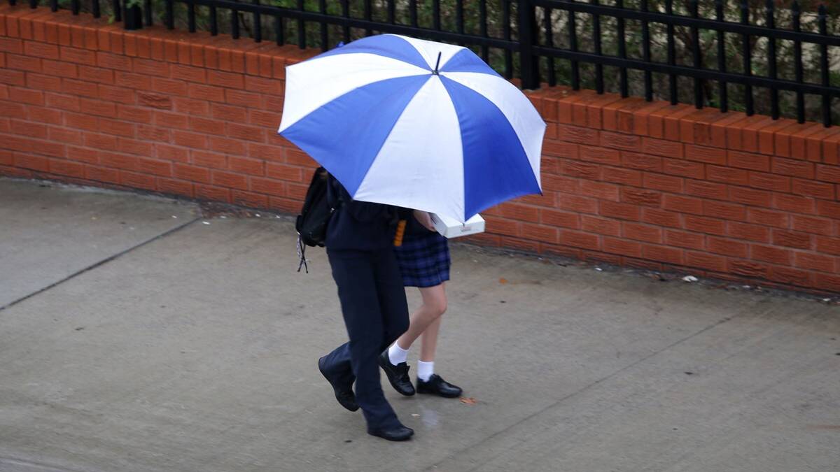 On the up: Umbrellas  are out in force. Picture: John Veage
