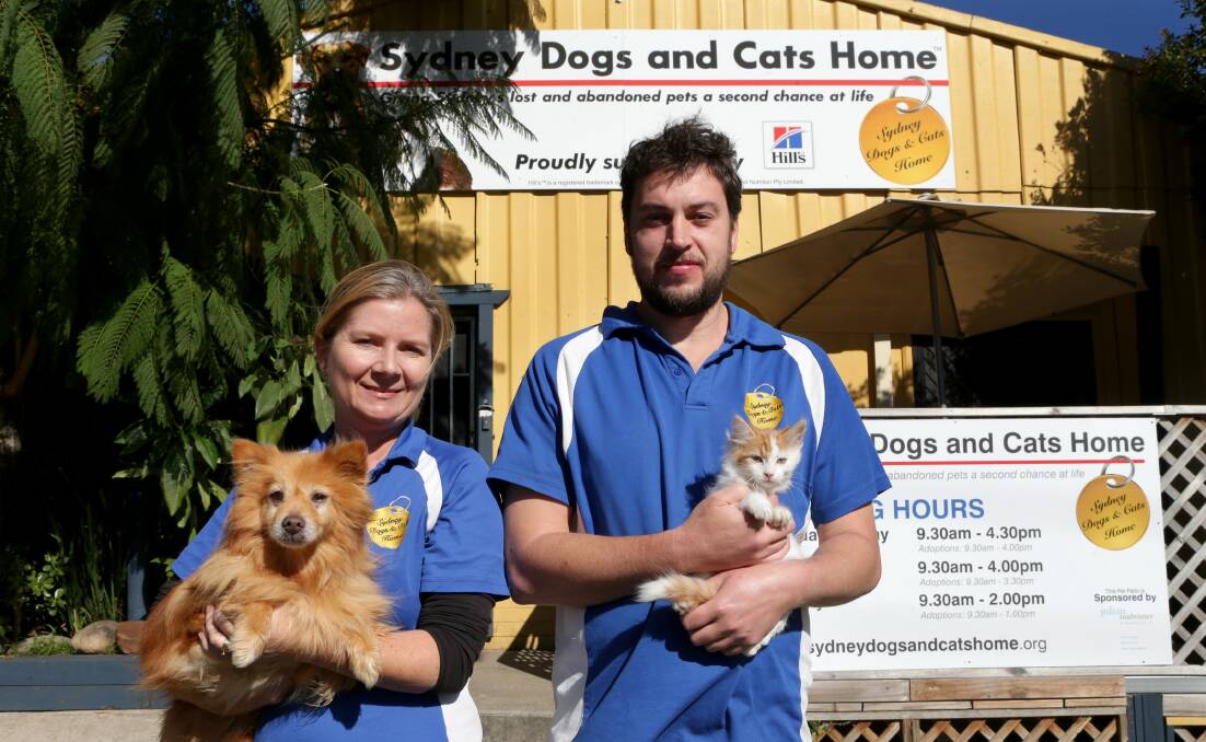 Where will we go? Sydney Dogs and Cats Home is looking for a new home. Pictured are Charmaine Asplet with Benjamin, and James Davidson with Hilton. Picture: Jane Dyson

