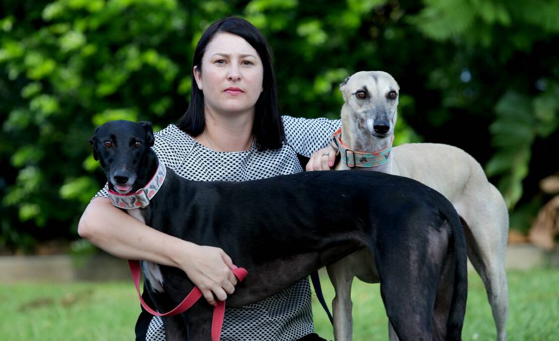 Heartbreaking: Caroline Gilchrist, who has adopted two former racing greyhounds, was sickened by cruelty allegations on the ABC’s 4 Corners. Picture: Jane Dyson

