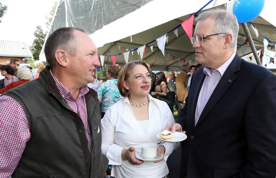 Scott Morrison the next conservative prime minister of Australia: Mirabella