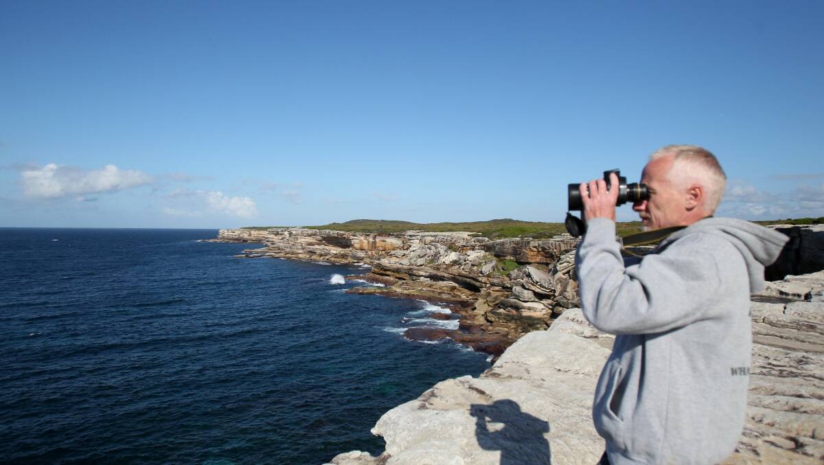 Seasonal sightings: Volunteer whale watcher Wayne Reynolds takes up his post again. He has already spotted up to a dozen whales in 10 days. He said the mornings were the best time to see whales from Cape Solander. Picture: Chris Lane
