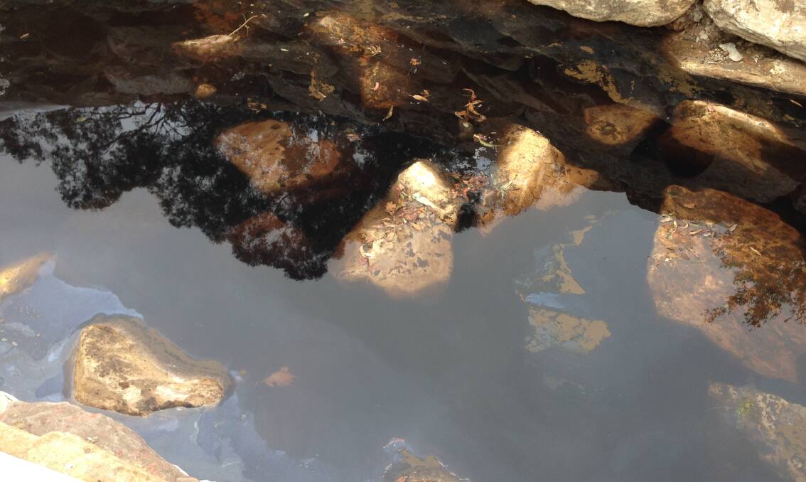 What is it? The polluted creek at Gymea. Picture: Supplied by Sutherland Shire Council.

