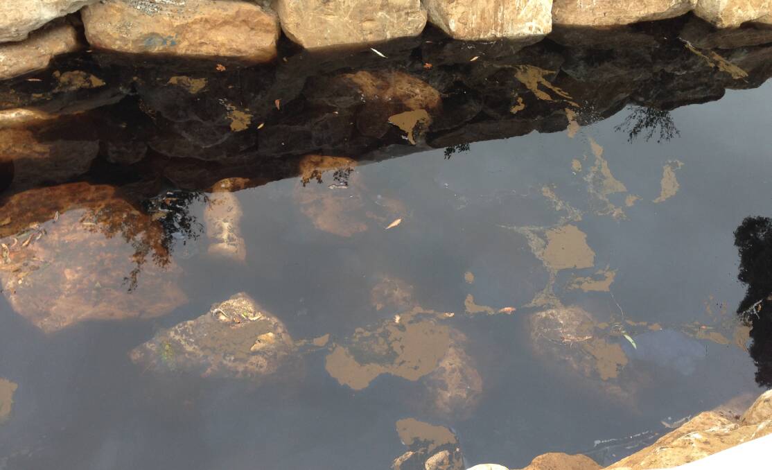 Heavy metal: The pollution in Ewey Creek. Picture: Sutherland Shire Council