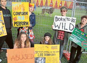 Causing a stir: Animal Liberation NSW members outside Stardust Circus in Wolli Creek. Picture: James Alcock 
