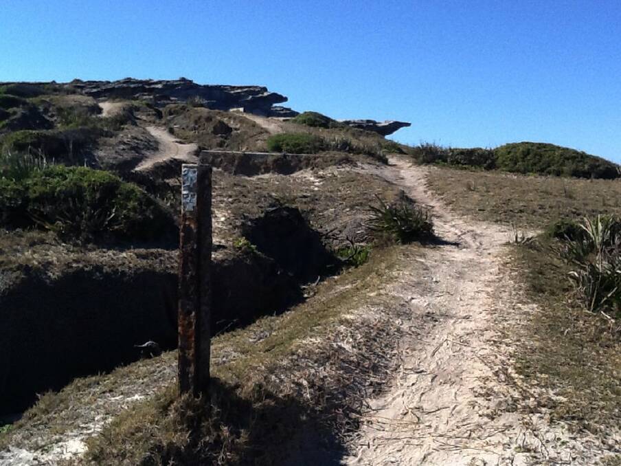 The Coast Track in Royal National Park is in serious disrepair.
