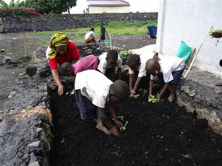 Pygmy children from Pamela's Preschool planting cabbages in the no-dig-garden - Rockdale Village, Mubambiro Democratic Republic of Congo