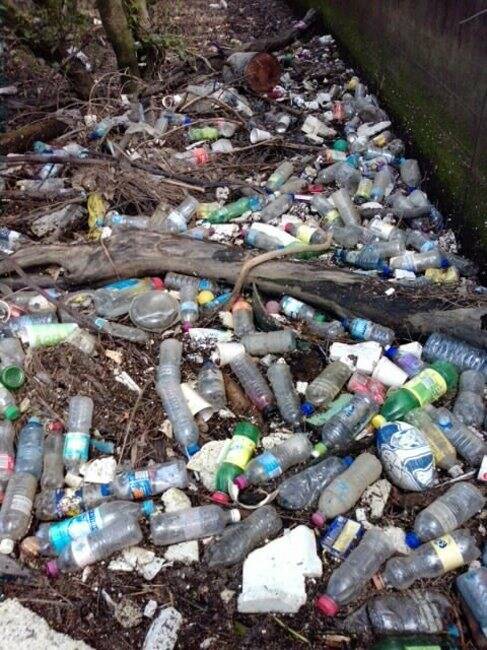 Packaging battle: Container litter on the edge of Cooks River.  Picture: Carlo Miazzi