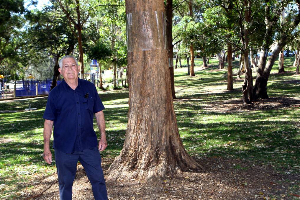 John Woodger at a tree which has   been wrapped in plastic to deter possums from climbing them. Picture : Lisa McMahon.