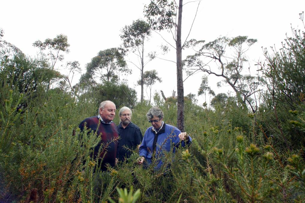 Site specific: Concerned environmentalists Peter Turner (left), Alan Lindsay and doctor Anne Young at the site of a proposed gas drilling bore in the Sydney Water catchment area in Darkes Forest. Picture: Adam McLean