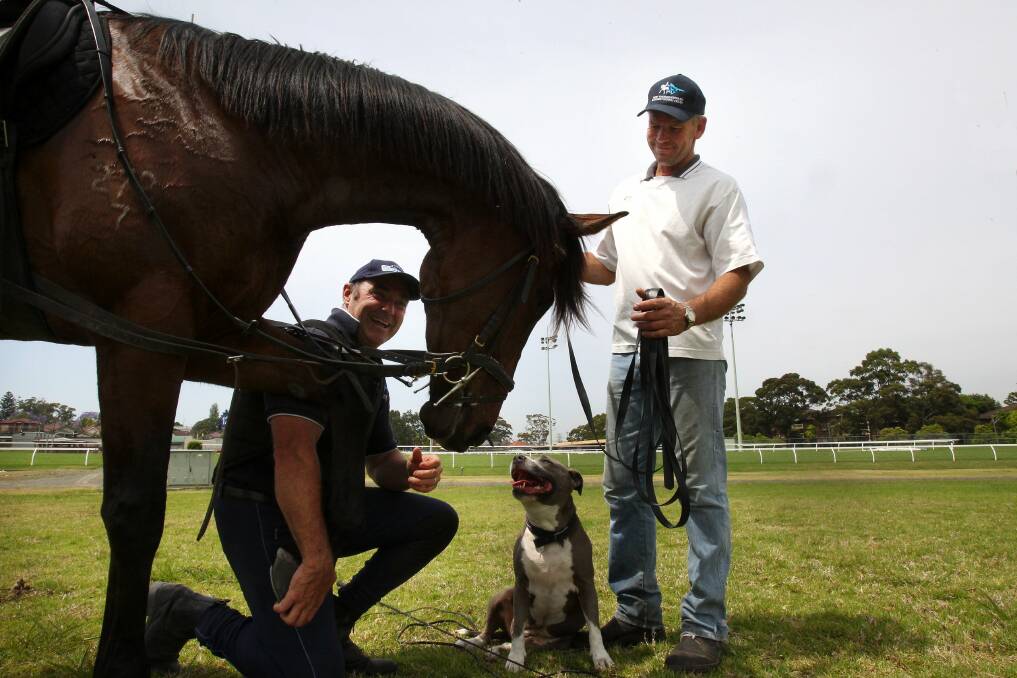 Plenty of attention: Thoroughbred Backgammon with re-trainer Scott Brodie (right)  Barry and Jazzy the dog. Picture: John Veage