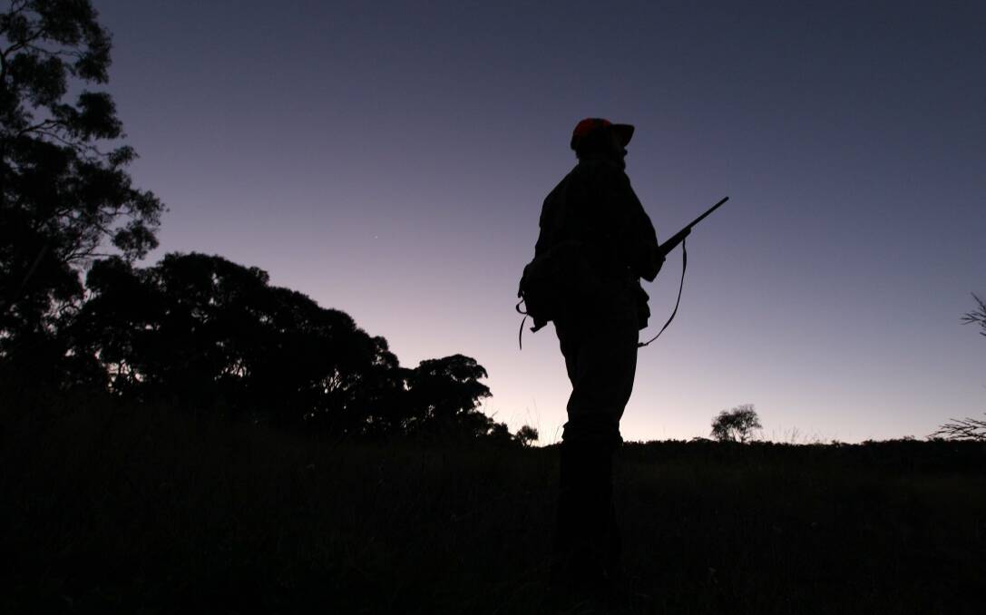 Line of fire: The NSW government will allow hunting in some of the state’s national parks. Picture: Andrew Sheargold