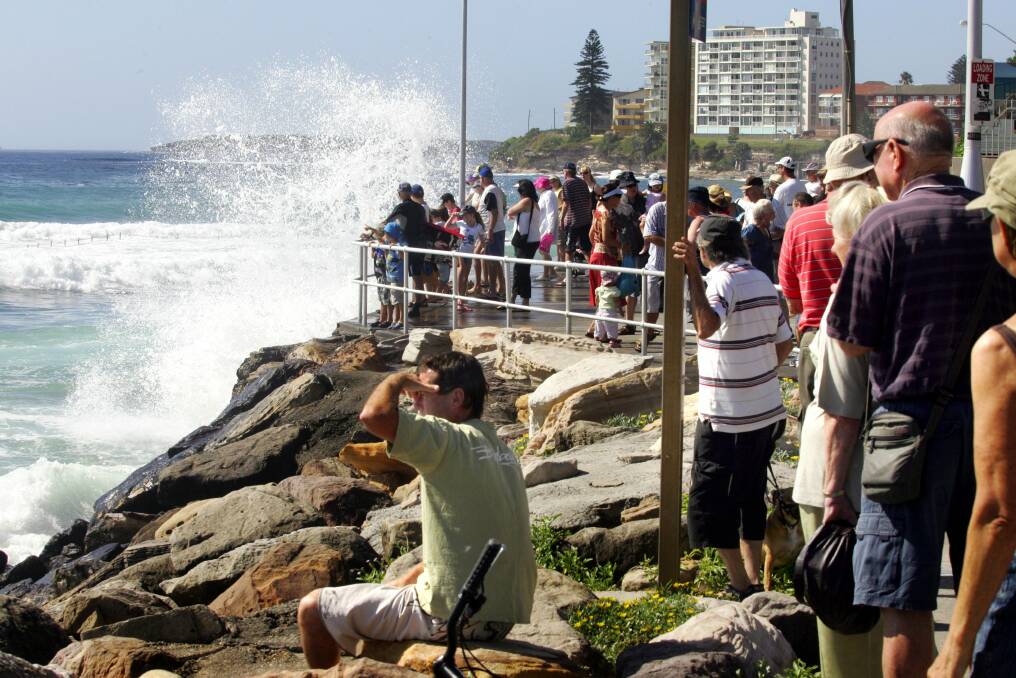 Big swell: King tides are expected this Friday, and residents are being urged to snap a picture of them. This one from Cronulla in 2009 certainly made an impression. Pictures: Jane Dyson