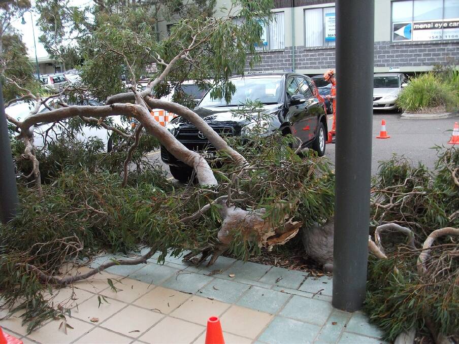 Pictures supplied by Sutherland Shire SES