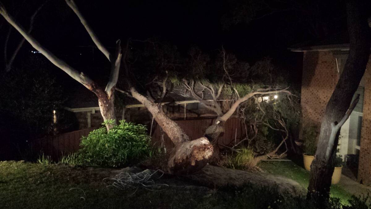 Pictures supplied by Sutherland Shire SES