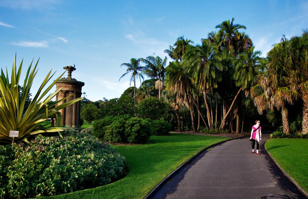 Learn more: The Royal Botanic Gardens more. Picture: Domino Postiglione 