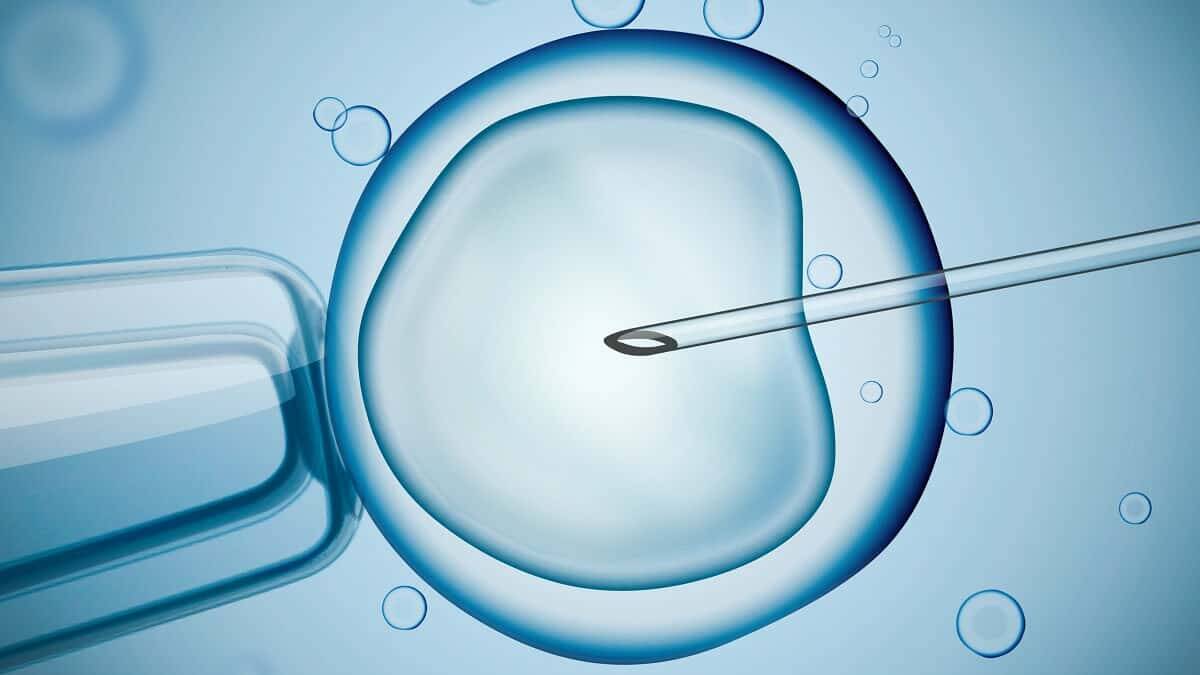 A look at the success rates of IVF by age