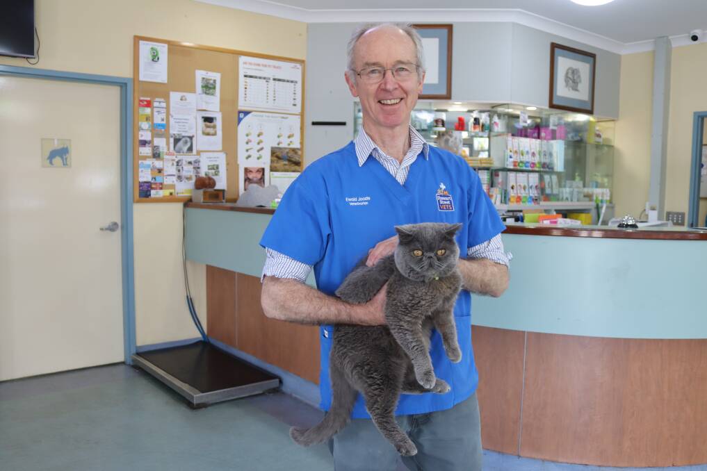 Stewart Street Vet has already treated multiple pets for snake bites | St  George & Sutherland Shire Leader | St George, NSW