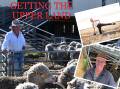 Keep the Sheep, a legacy project, building community and dairy success