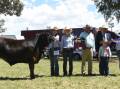 Supreme champion steer Sarana T56, with Chloe Long, Layla Den and Ben Toll, St John's College, Dubbo, judge Matt Spry, Spry's Shorthorns and Angus, Wagga Wagga, Jackson Cargill, Canberra and Su McCluskey, Clusters Holdings, Yass. 