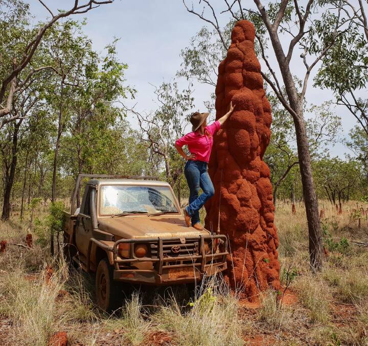 Jess finds any small, or big, thing to share to her followers. When she come across this ant hill she captioned it "That's a bloody big whoppin ant hill! The tallest one I've personally seen. Found this the other day on a water run."
