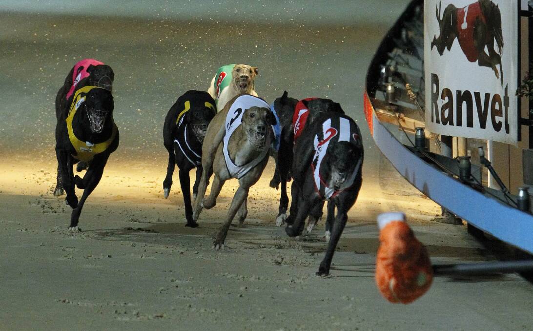 Dapto Dogs will cease operating immediately. Picture: Andy Zakeli