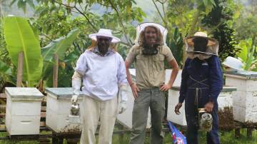 Harvesting honey in the PNG Highlands are beekeeping guru Mr Wilson Tomato, Dr Cooper Schouten and Mr Paki Billy in partnership with Market Development Facility and Highlands Honey. Picture supplied by Dr Cooper Schouten