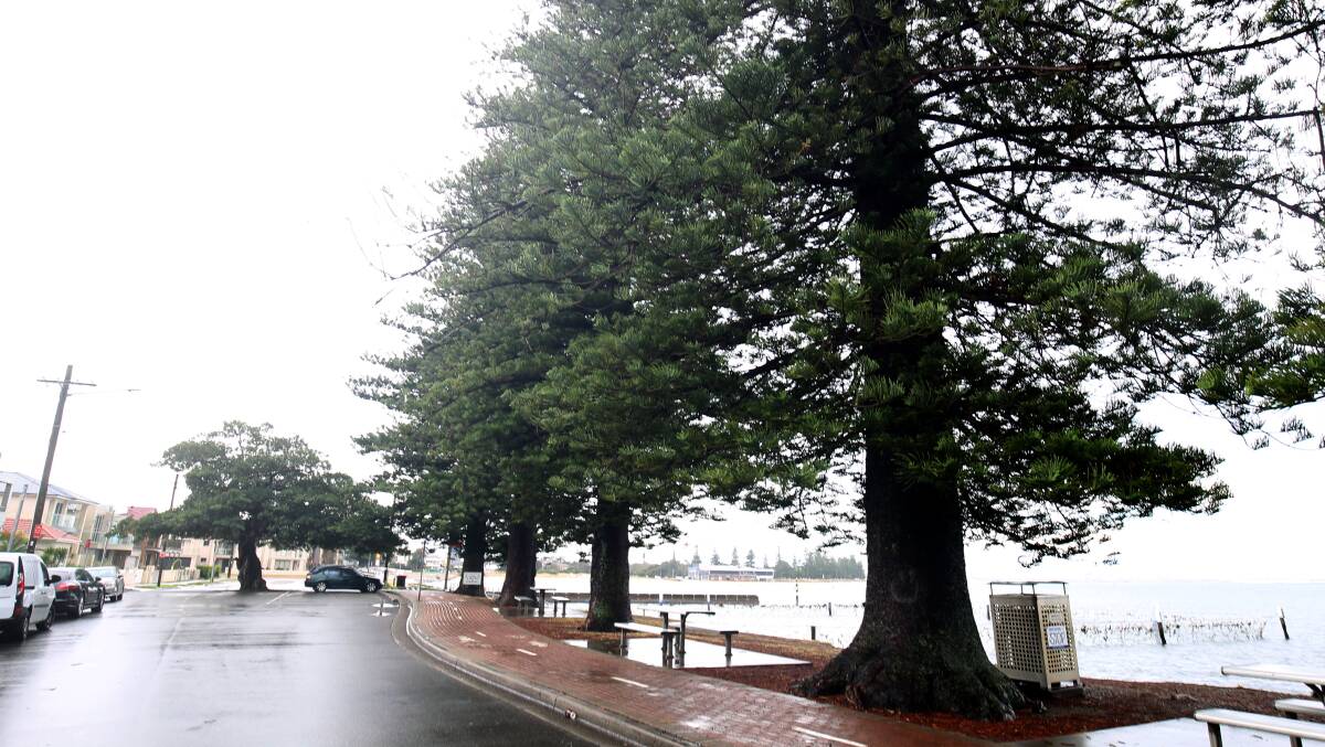 A Bayside Council report will look at the feasibility of installing gates at Vanston Parade, Sandringham to stop late night drinking and reckless driving. Picture: Chris Lane