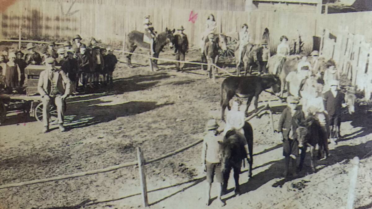 Pony express: May's father, Harry (left of picture) ran pony rides on the site of what is now the Dental Hospital at Surry Hills.