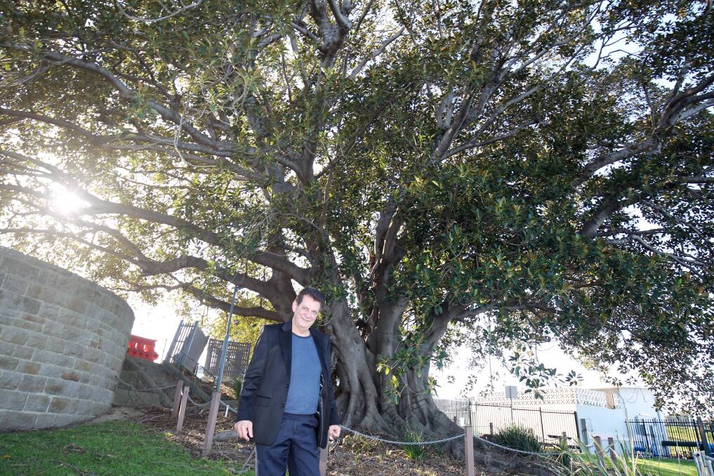 A bond with the past: Georges River Councillor Nick Katris with the Moreton Bay fig at Sans Souci. Cr Katris is seeking for the tree to be listed as a heritage item in its own right. Picture: Chris Lane