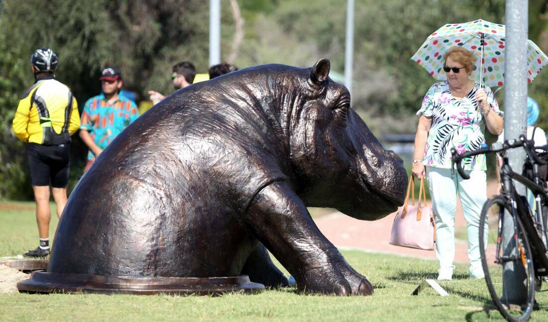Look what's back: Hiding the Hippo, winner of last year's Scultures@Bayside. Picture: Chris Lane