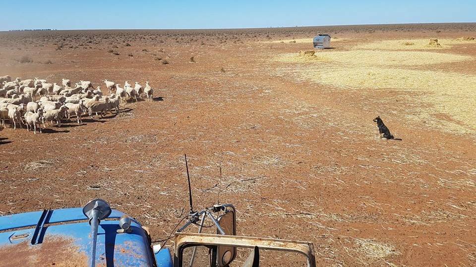 Not alone: Bayside Council is showing its support for country men and women by supporting The Big Drought Appeal. Picture: The Land