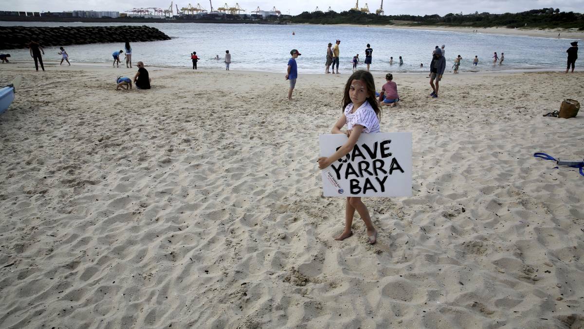 Line in the sand: A young protestor expresses her opposition to the planned cruise ship terminal in 2019.