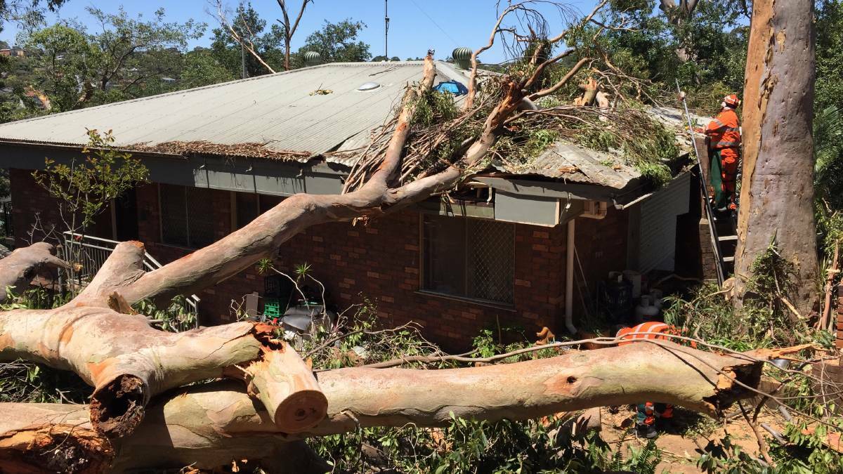 Storm centre: Grays Point was the most storm-affected suburb in the St George and Sutherland Shire region in 2018-19, according to the NRMA, as seen in the mini-tornado severely damaged properties last December.
