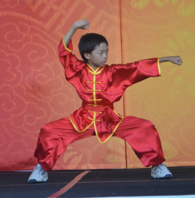A demonstration of Chinese Martial Arts will be performed by the Da Hong Kung Fu Club at Kogarah Library to celebrate Lunar New Year.