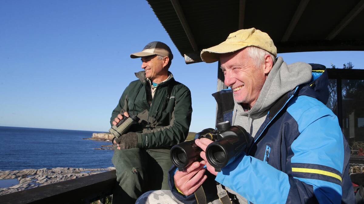 Well spotted: Cape Solander volunteer whale watchers Wayne Reynolds and Chris Rasborsek. Picture: John Veage