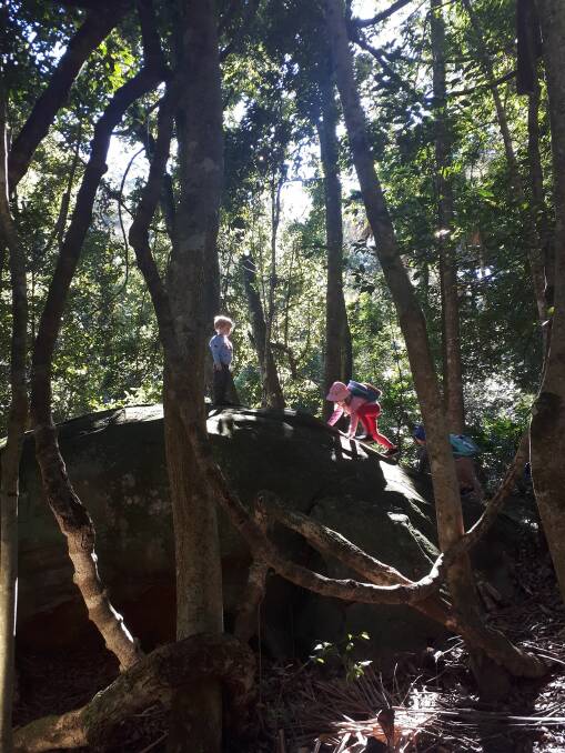 A walk in the woods: Children enjoying a bushwalk at Forest Path, Royal National Park.