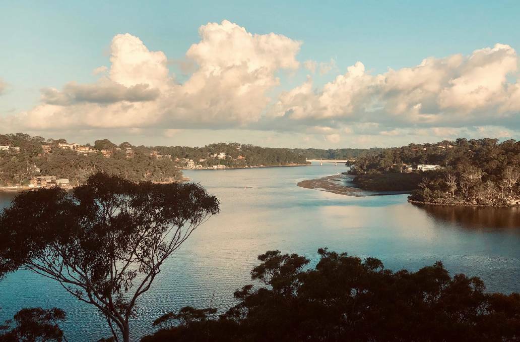 Community groups feared that Georges River ridge-top vegetation (lefthand side) could be lost to dual occupancy development under a proposed reduction of the foreshore protection area in the former Hurstville local government area.