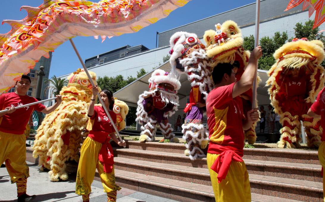 Roaring back: Lion dancers at the traditional Lunar New Year celebrations at Hurstville. Next year's event will be bigger than ever and will include a number of activities at the council's libraries and museum. 
