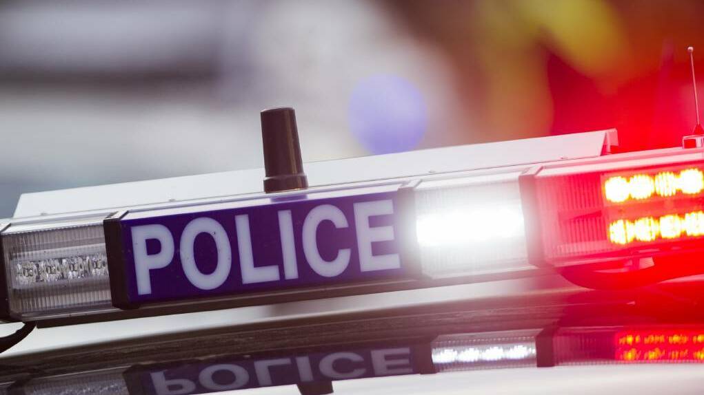 Police dog tracks disqualified driver following pursuit to bushland at Alfords Point