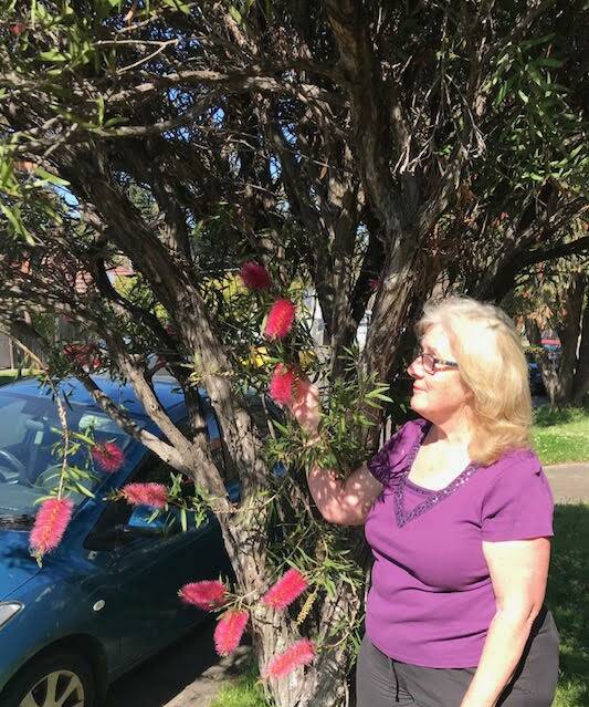 Bayside Councillor Liz Barlow said it is up to residents as well as the council to check on the trees and see if people have been drilling holes in them